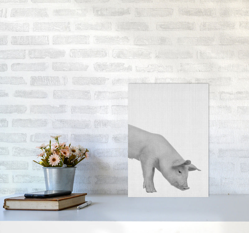 The Cleanest Pig Art Print by Jason Stanley A3 Black Frame