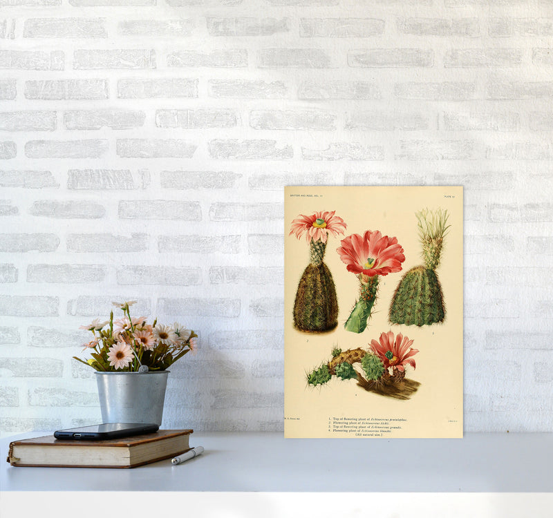 Cactus Series 2 Art Print by Jason Stanley A3 Black Frame