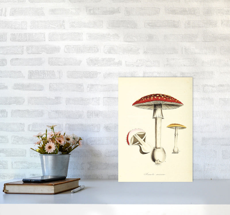 Magic Mushrooms Art Print by Jason Stanley A3 Black Frame