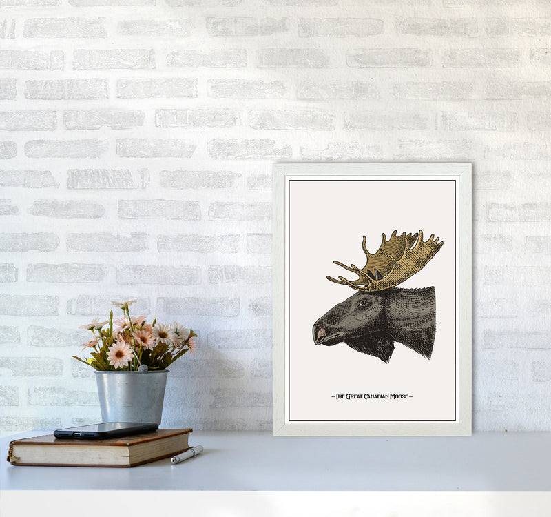 The Great Canadian Moose Art Print by Jason Stanley A3 Oak Frame