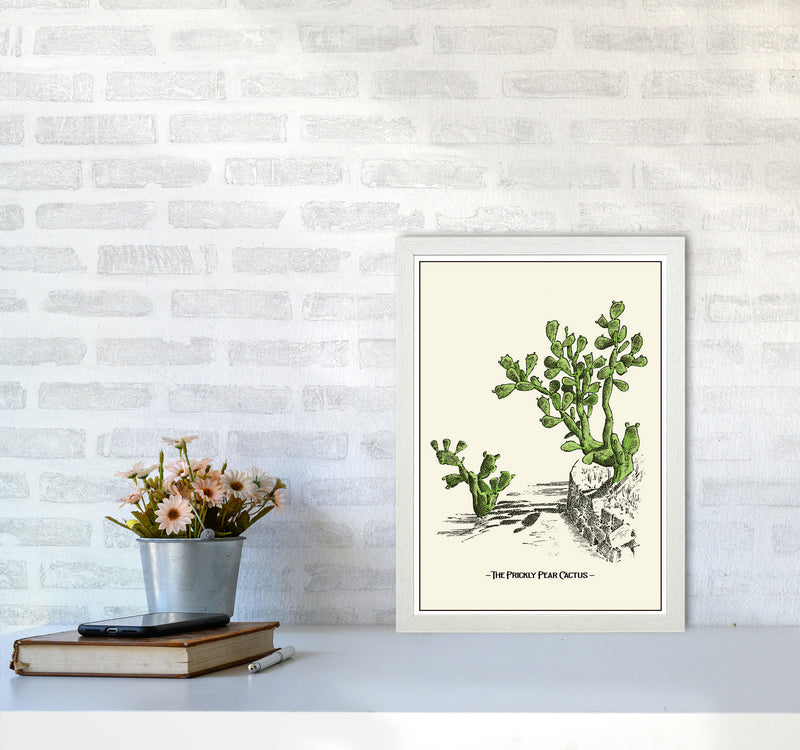 The Prickly Pear Cactus Art Print by Jason Stanley A3 Oak Frame