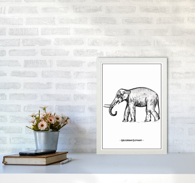 Wild Indian Elephant Art Print by Jason Stanley A3 Oak Frame