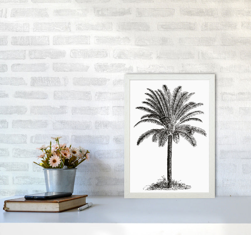 Vintage Palm Tree Art Print by Jason Stanley A3 Oak Frame