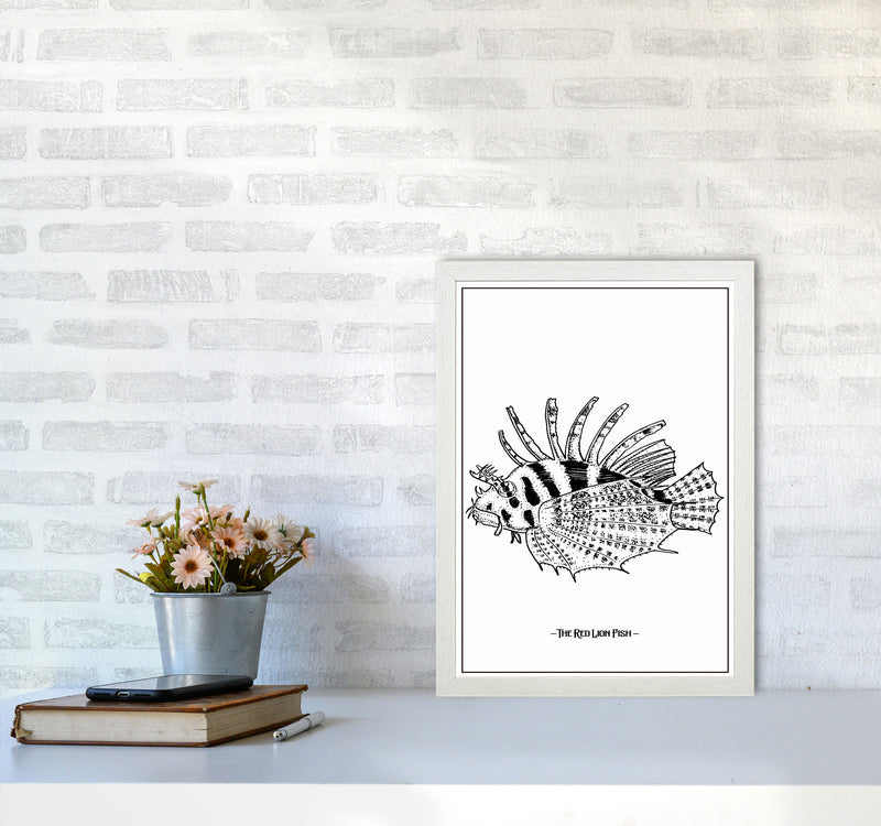 The Red Lion Fish Art Print by Jason Stanley A3 Oak Frame