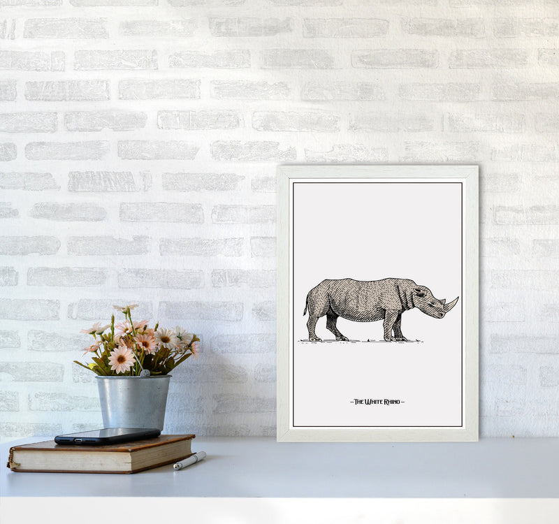 The White Rhino Art Print by Jason Stanley A3 Oak Frame