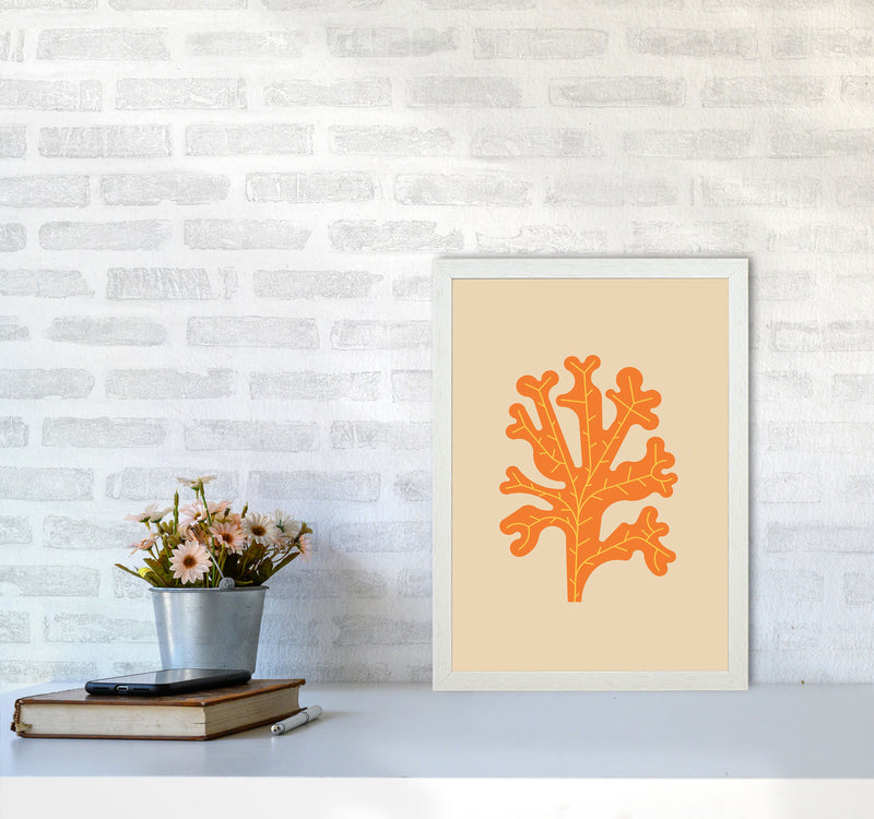 Orange Seaweed Art Print by Jason Stanley A3 Oak Frame