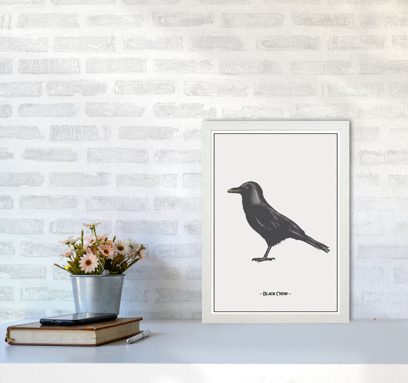 The Black Crow Art Print by Jason Stanley A3 Oak Frame