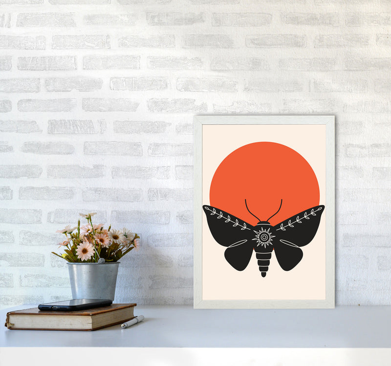 Sunshine Moth Art Print by Jason Stanley A3 Oak Frame