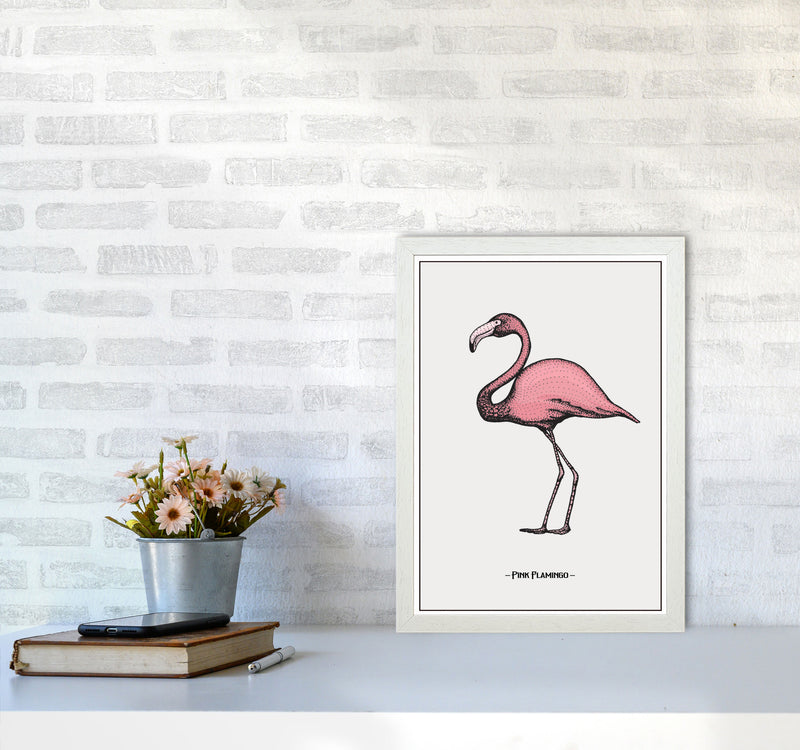 Pink Flamingo Art Print by Jason Stanley A3 Oak Frame