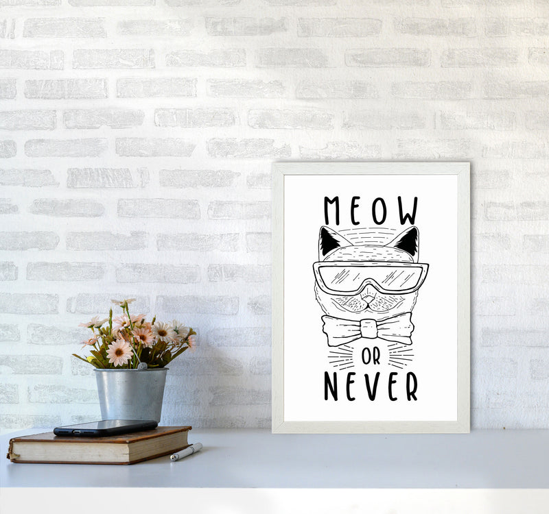 Meow Or Never Art Print by Jason Stanley A3 Oak Frame