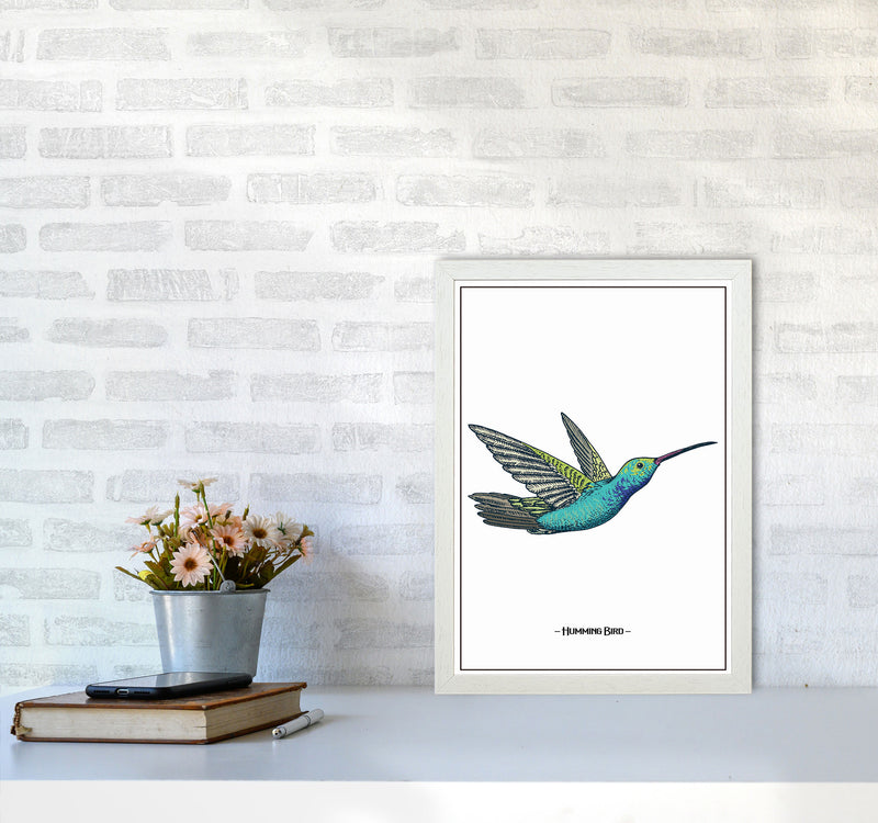 Humming Bird Art Print by Jason Stanley A3 Oak Frame