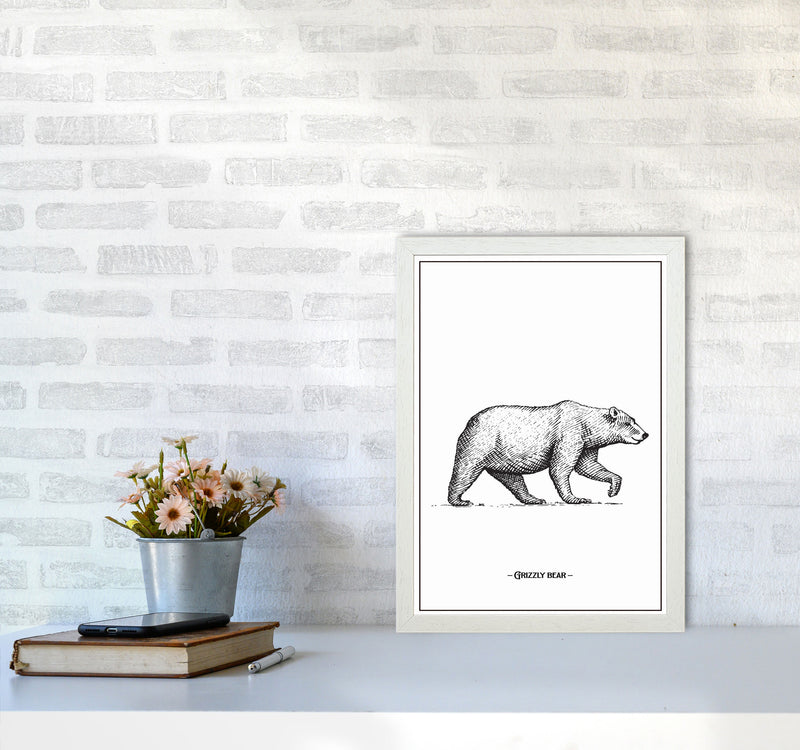 Grizzly Bear Art Print by Jason Stanley A3 Oak Frame
