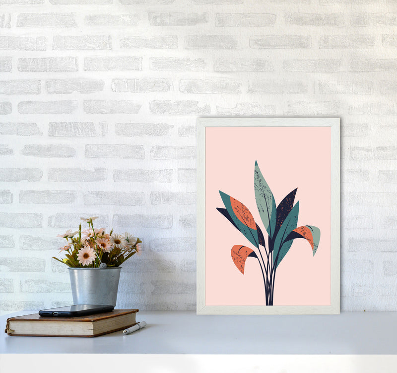 Pink Plant Art Print by Jason Stanley A3 Oak Frame