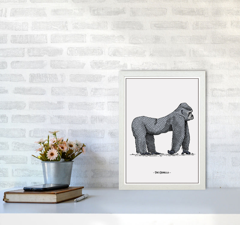 The Gorilla Art Print by Jason Stanley A3 Oak Frame