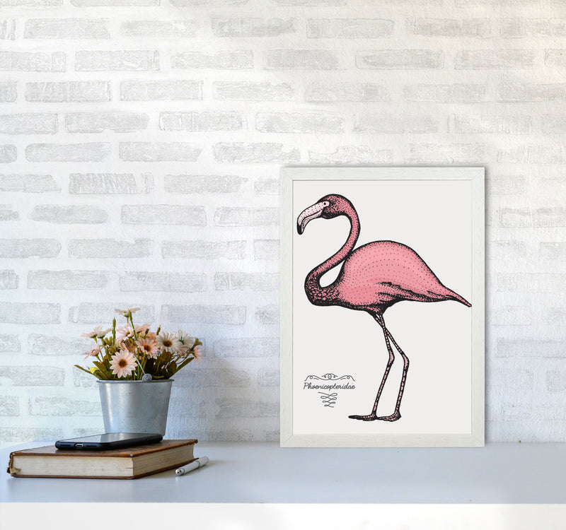 Flamingo Art Print by Jason Stanley A3 Oak Frame