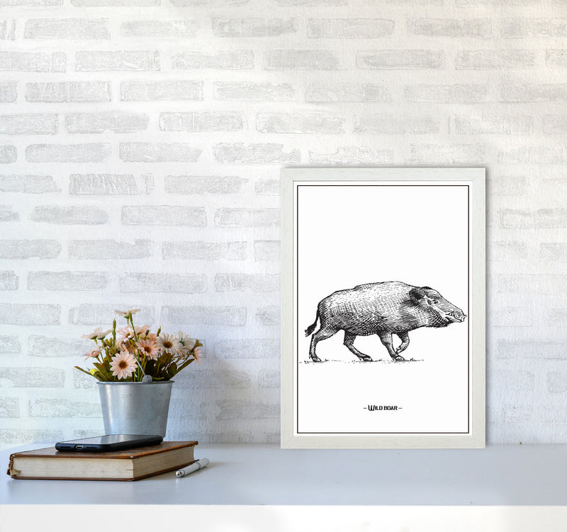 Wild Boar Art Print by Jason Stanley A3 Oak Frame