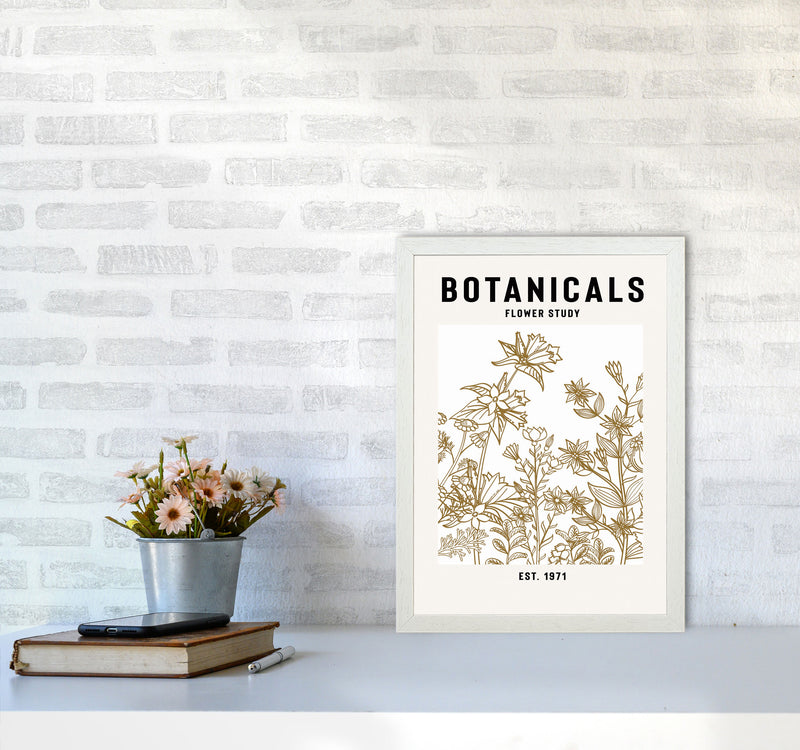 Botanicals Flower Study II Art Print by Jason Stanley A3 Oak Frame