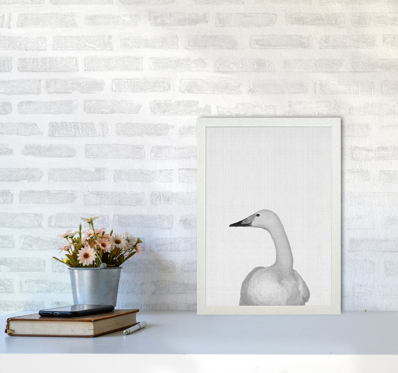 The Case Of The Lost Goose Art Print by Jason Stanley A3 Oak Frame
