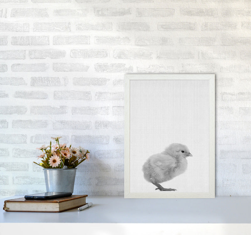 Just Me And My Chick Copy Art Print by Jason Stanley A3 Oak Frame