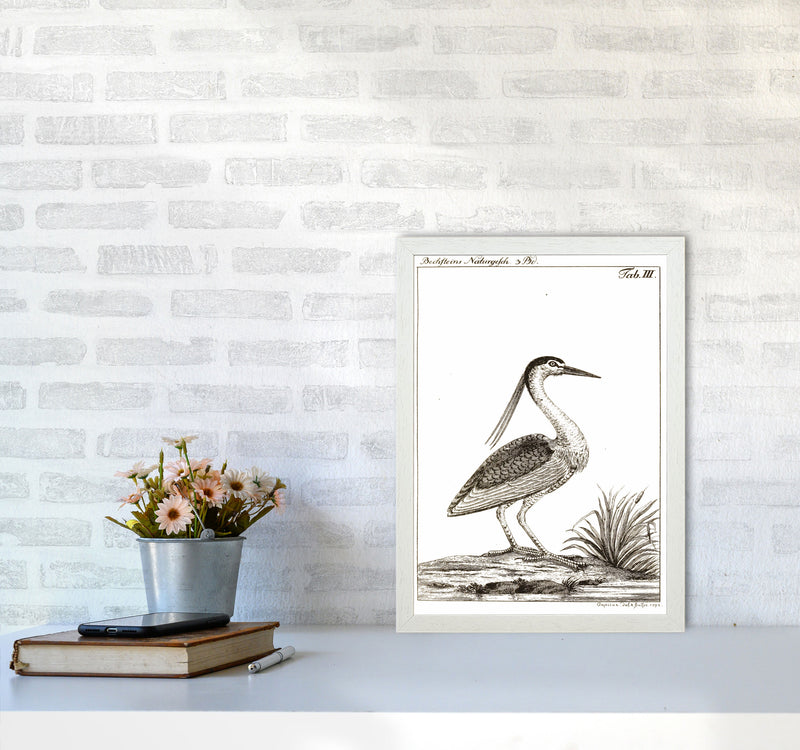 Vintage Hunting Bird Art Print by Jason Stanley A3 Oak Frame