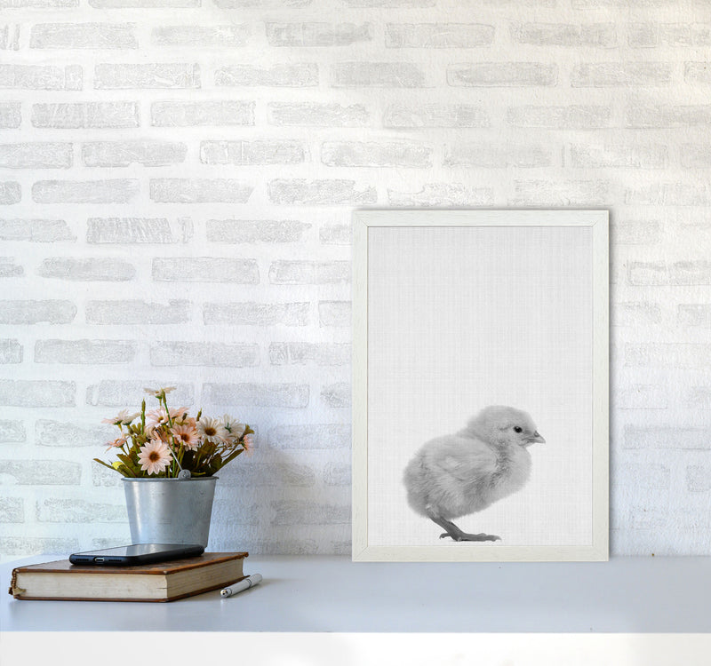 Just Me And My Chick Art Print by Jason Stanley A3 Oak Frame