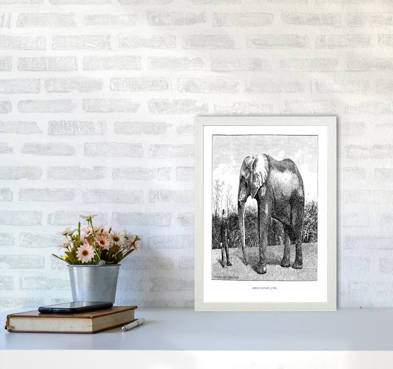 African Elephant Art Print by Jason Stanley A3 Oak Frame