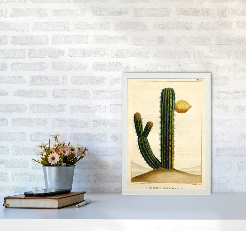 Vintage Cactus II Art Print by Jason Stanley A3 Oak Frame