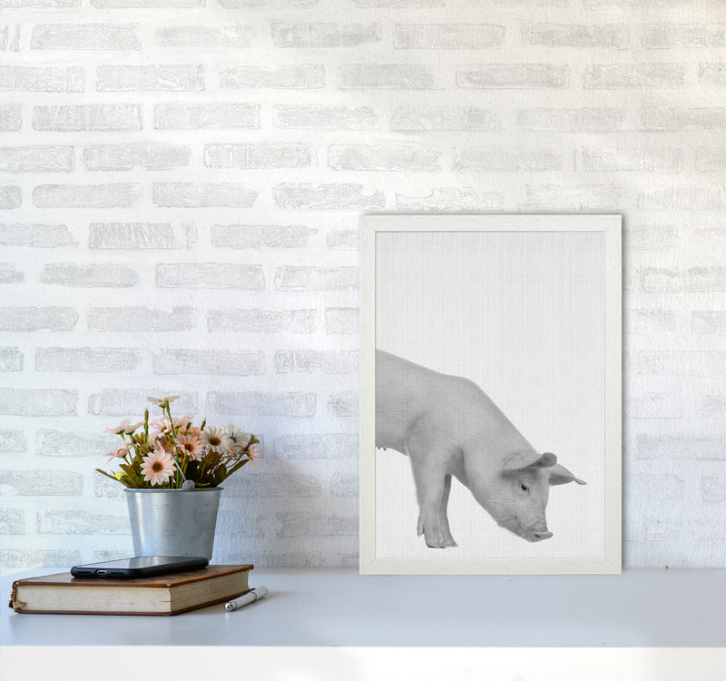 The Cleanest Pig Art Print by Jason Stanley A3 Oak Frame