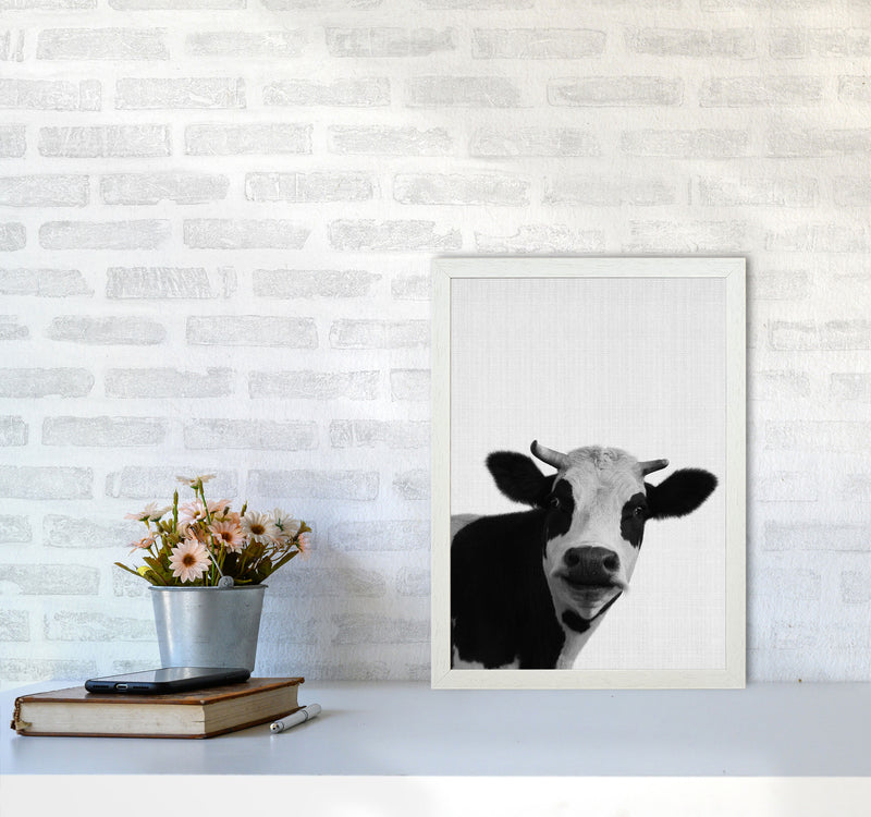 Holy Cow Art Print by Jason Stanley A3 Oak Frame