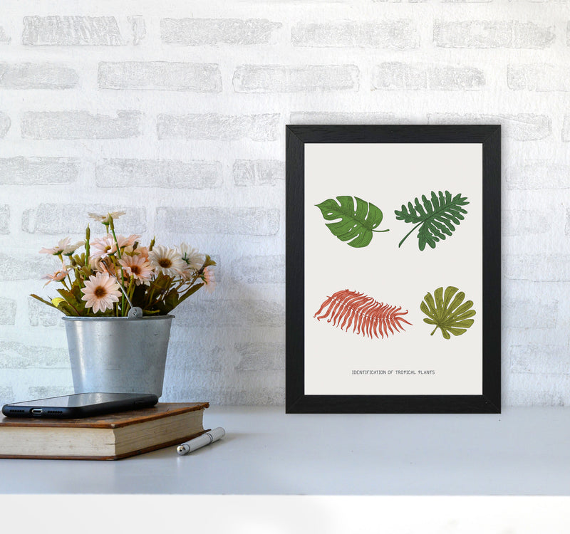 Identification Of Tropical Plants Art Print by Jason Stanley A4 White Frame