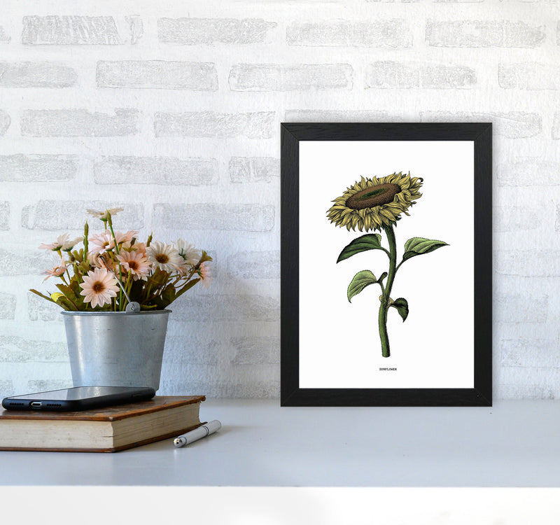 Sunflowers For President Art Print by Jason Stanley A4 White Frame
