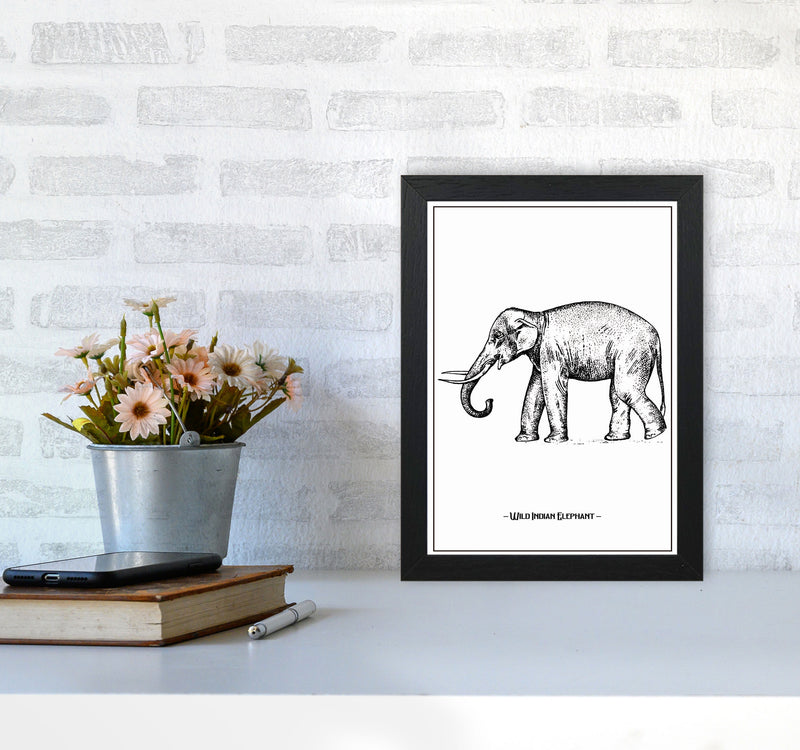 Wild Indian Elephant Art Print by Jason Stanley A4 White Frame