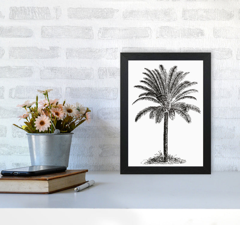 Vintage Palm Tree Art Print by Jason Stanley A4 White Frame