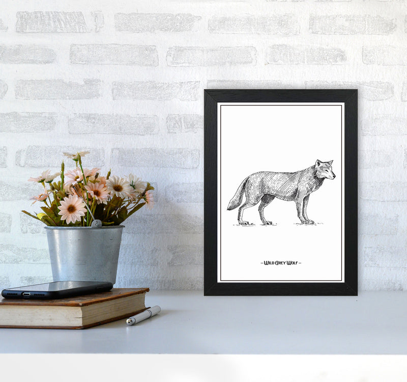 Wild Grey Wolf Art Print by Jason Stanley A4 White Frame