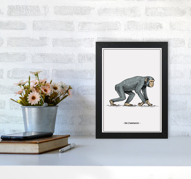 The Chimpanzee Art Print by Jason Stanley A4 White Frame