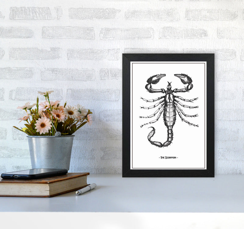 The Scorpion Art Print by Jason Stanley A4 White Frame