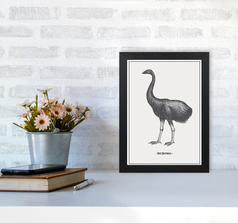 The Ostrich Art Print by Jason Stanley A4 White Frame