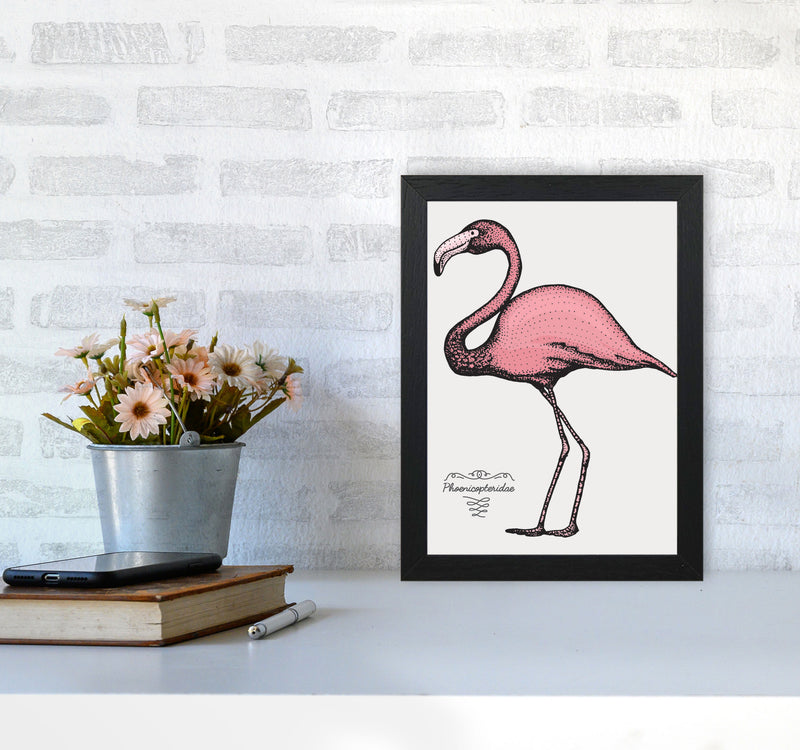 Flamingo Art Print by Jason Stanley A4 White Frame