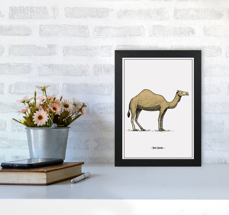 The Camel Art Print by Jason Stanley A4 White Frame