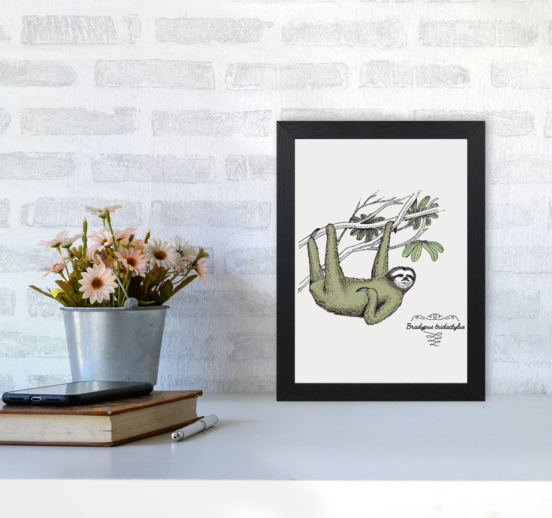 Sloth Art Print by Jason Stanley A4 White Frame