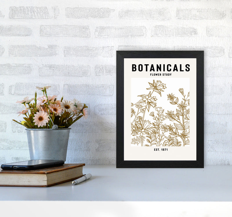 Botanicals Flower Study II Art Print by Jason Stanley A4 White Frame