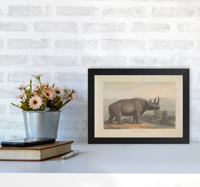 Vintage Rhino Illustration Art Print by Jason Stanley A4 White Frame