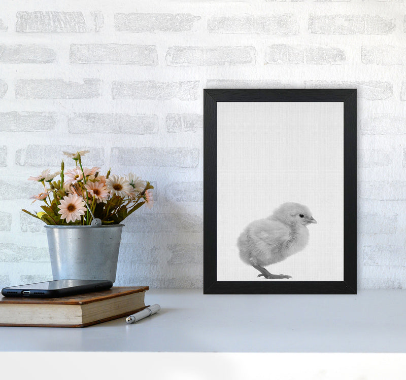 Just Me And My Chick Copy Art Print by Jason Stanley A4 White Frame