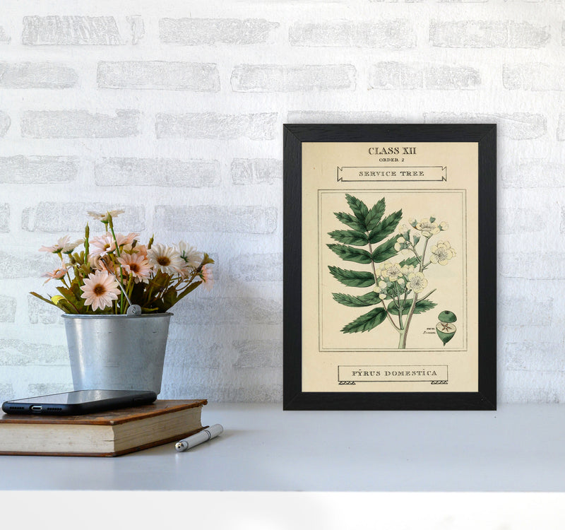 Vintage Flower Series 5 Art Print by Jason Stanley A4 White Frame