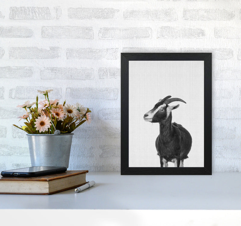 This Goat Takes The Cake Art Print by Jason Stanley A4 White Frame