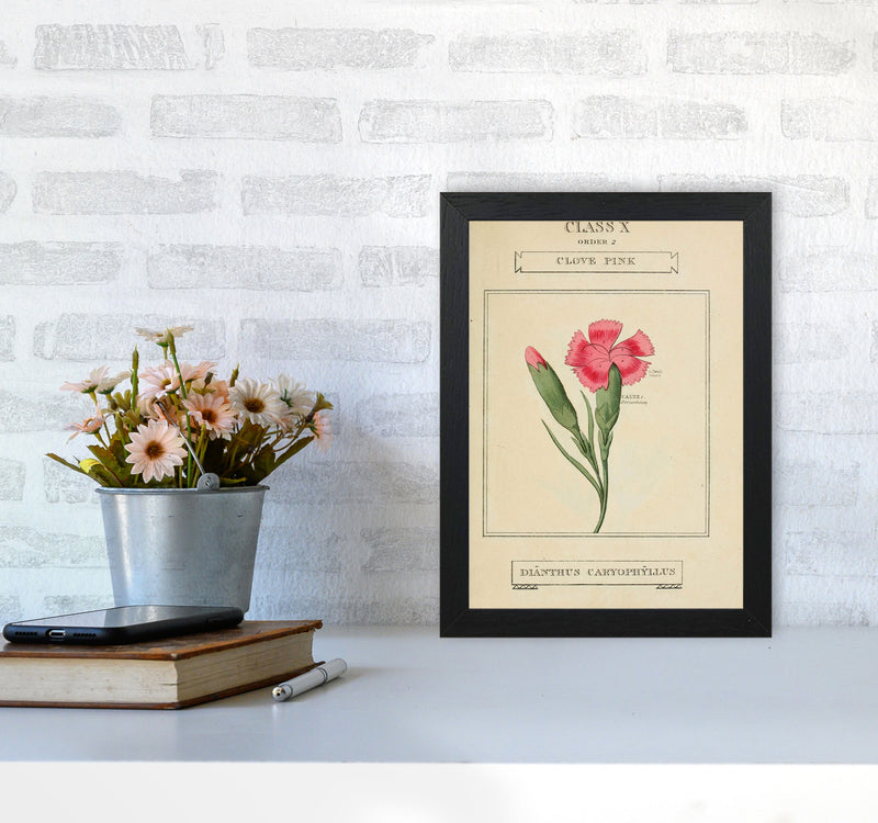 Vintage Flower Series 4 Art Print by Jason Stanley A4 White Frame
