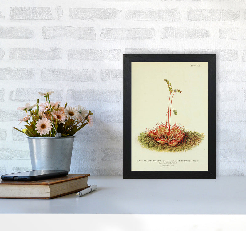 A Carnivorous Plant Art Print by Jason Stanley A4 White Frame