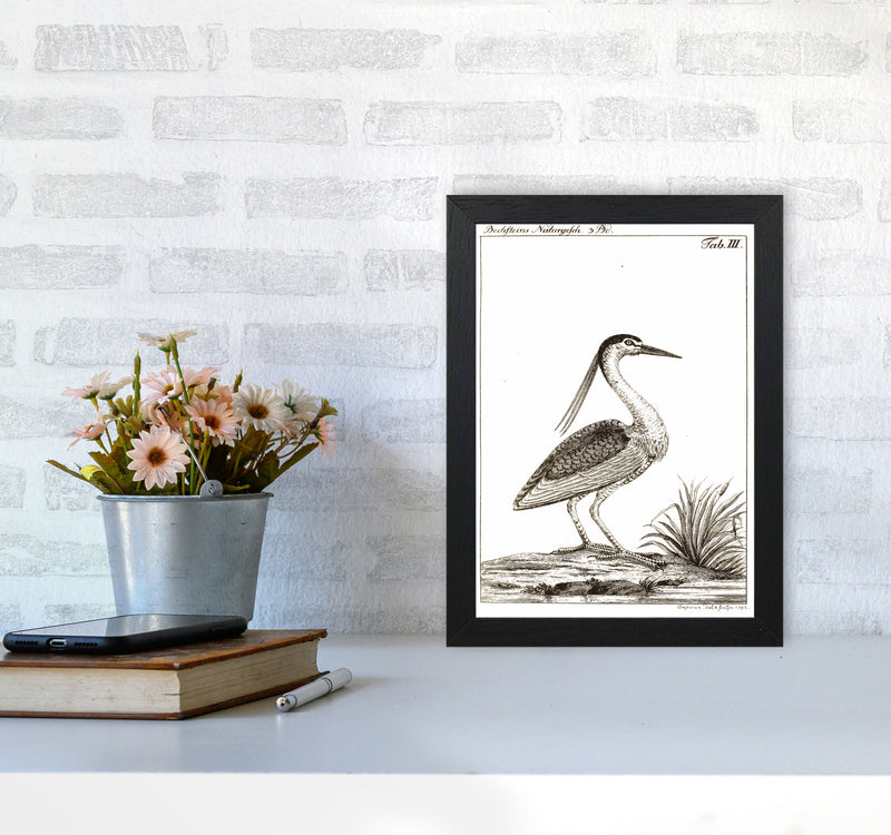 Vintage Hunting Bird Art Print by Jason Stanley A4 White Frame