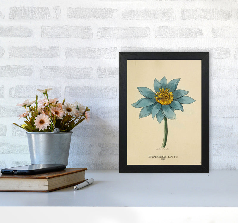 Vintage Lotus Flower Art Print by Jason Stanley A4 White Frame