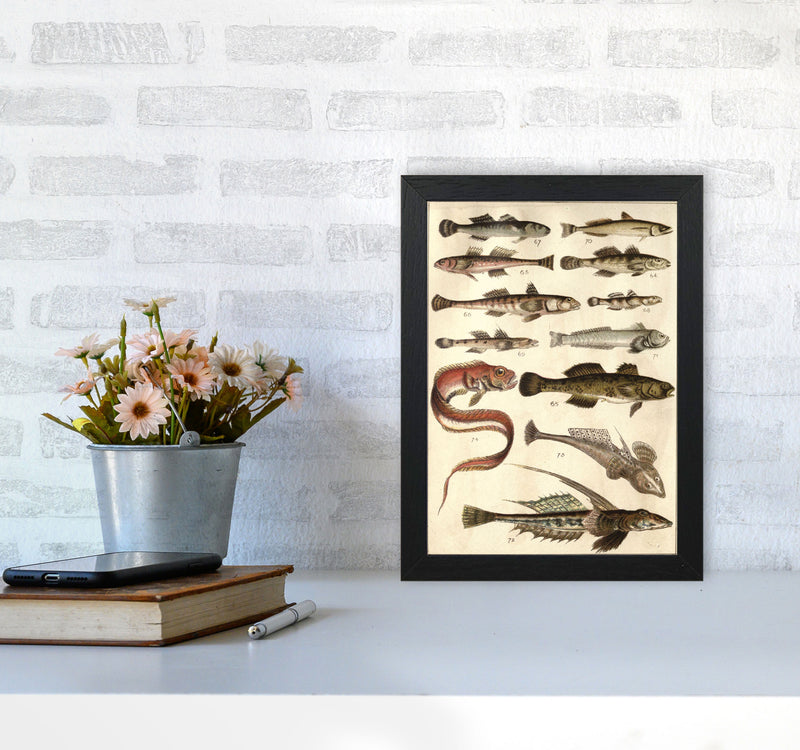 Creatures Of The Sea Art Print by Jason Stanley A4 White Frame